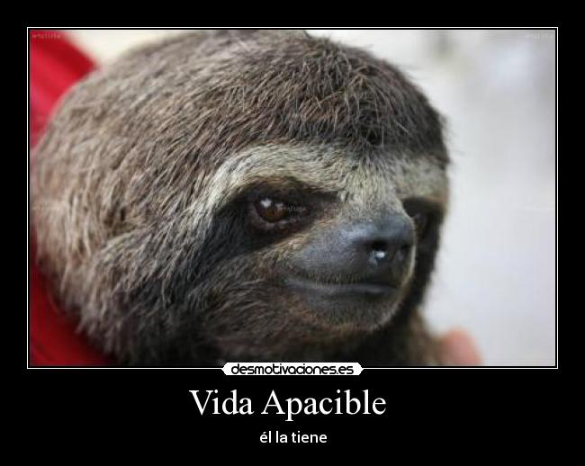 Vida Apacible  - él la tiene