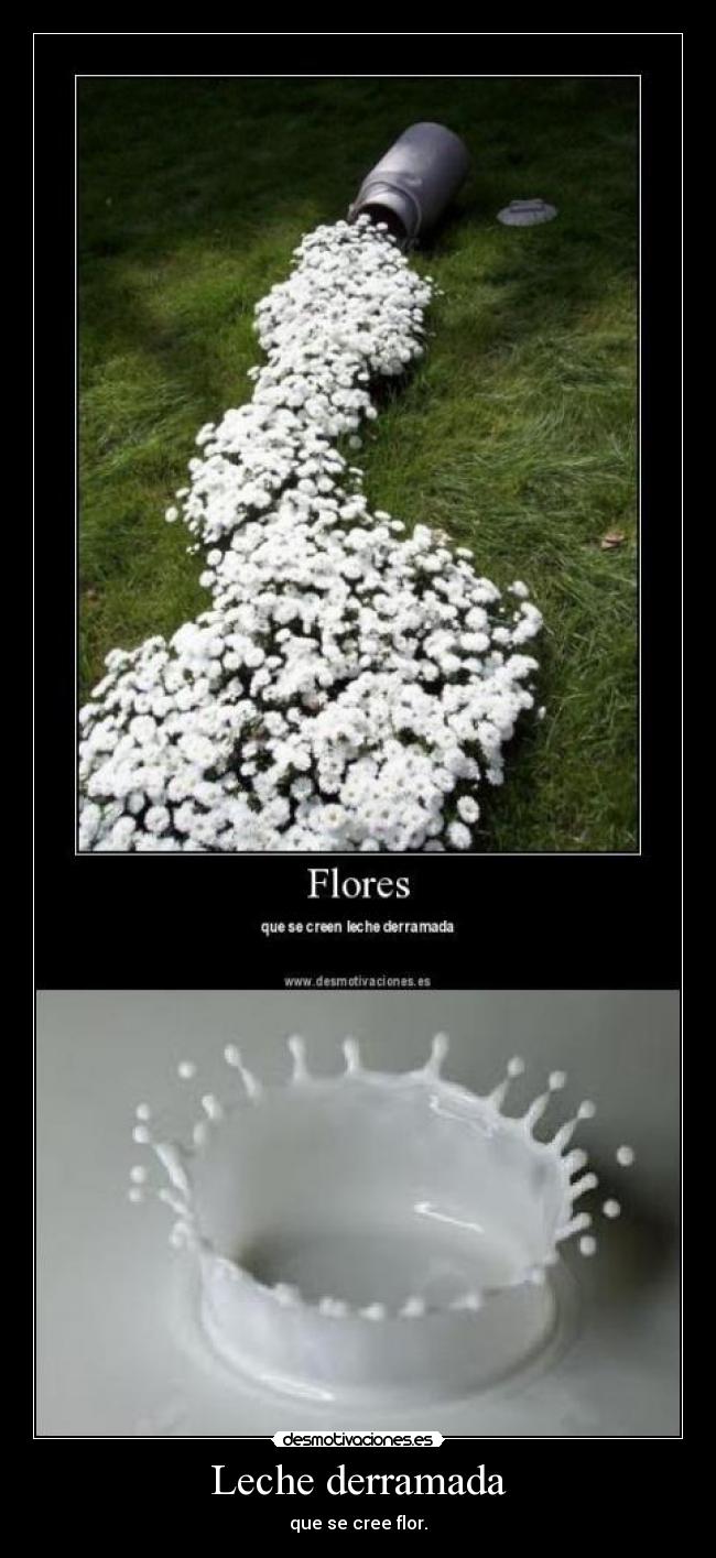 Leche derramada -