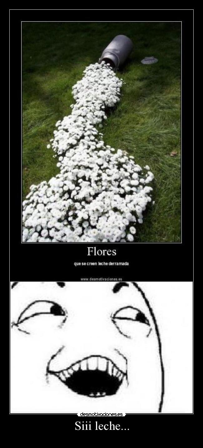 Siii leche... - 