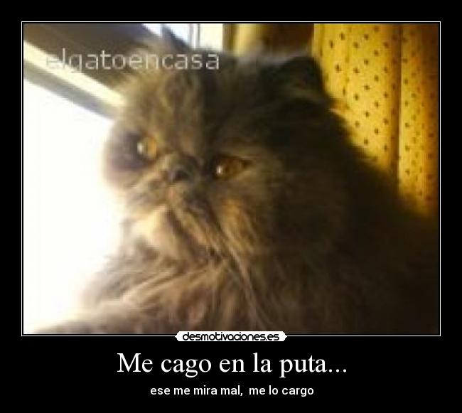 Me cago en la puta... -