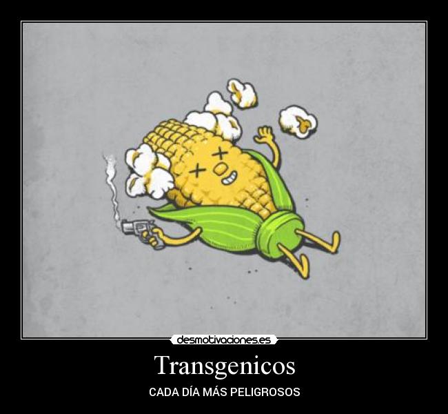 Transgenicos - CADA DÍA MÁS PELIGROSOS