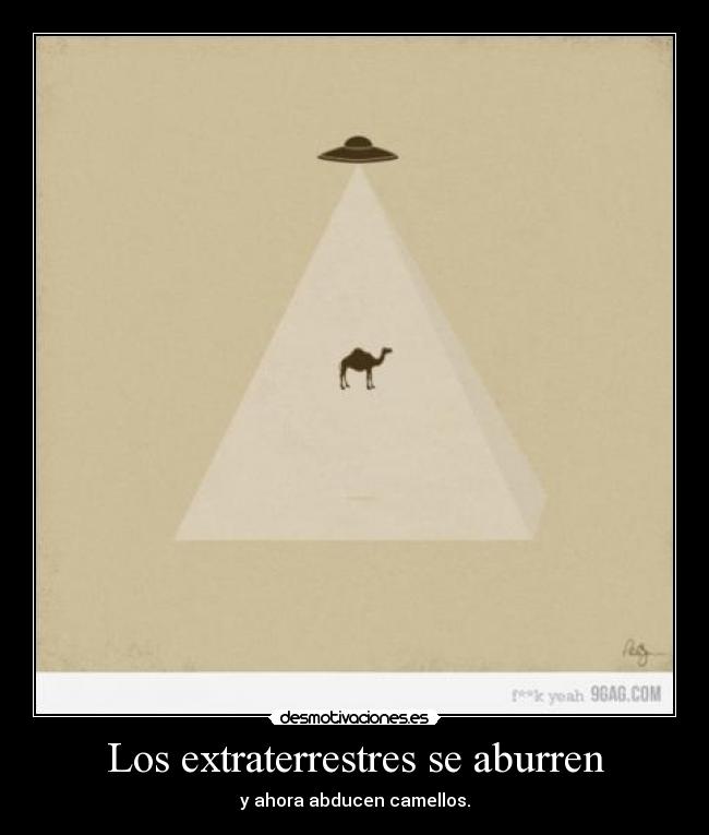 Los extraterrestres se aburren - y ahora abducen camellos.