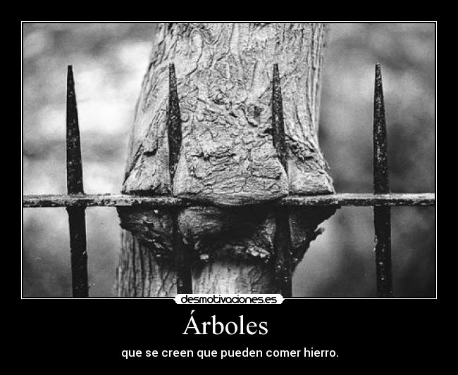 Árboles - que se creen que pueden comer hierro.