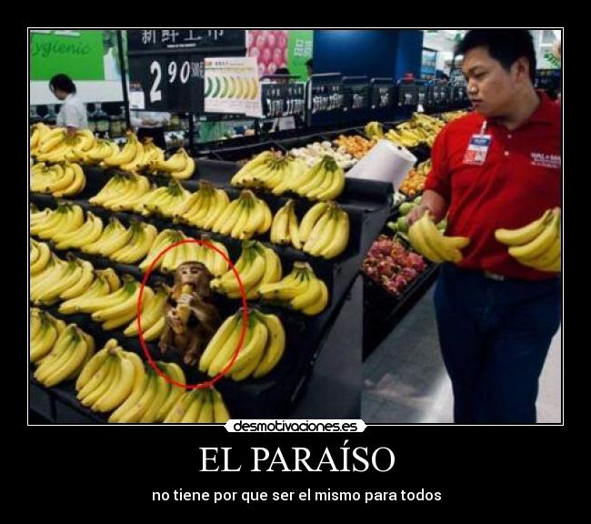 carteles paraiso tiene por que ser mismo para todos mono acv platano supermercado comer desmotivaciones