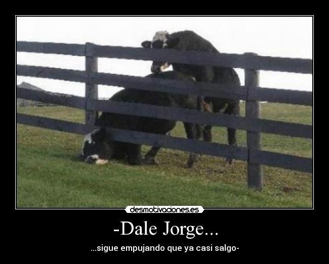 -Dale Jorge... - ...sigue empujando que ya casi salgo-