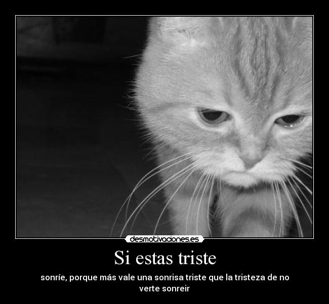 Si estas triste - sonríe, porque más vale una sonrisa triste que la tristeza de no verte sonreir