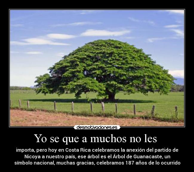 Yo se que a muchos no les -