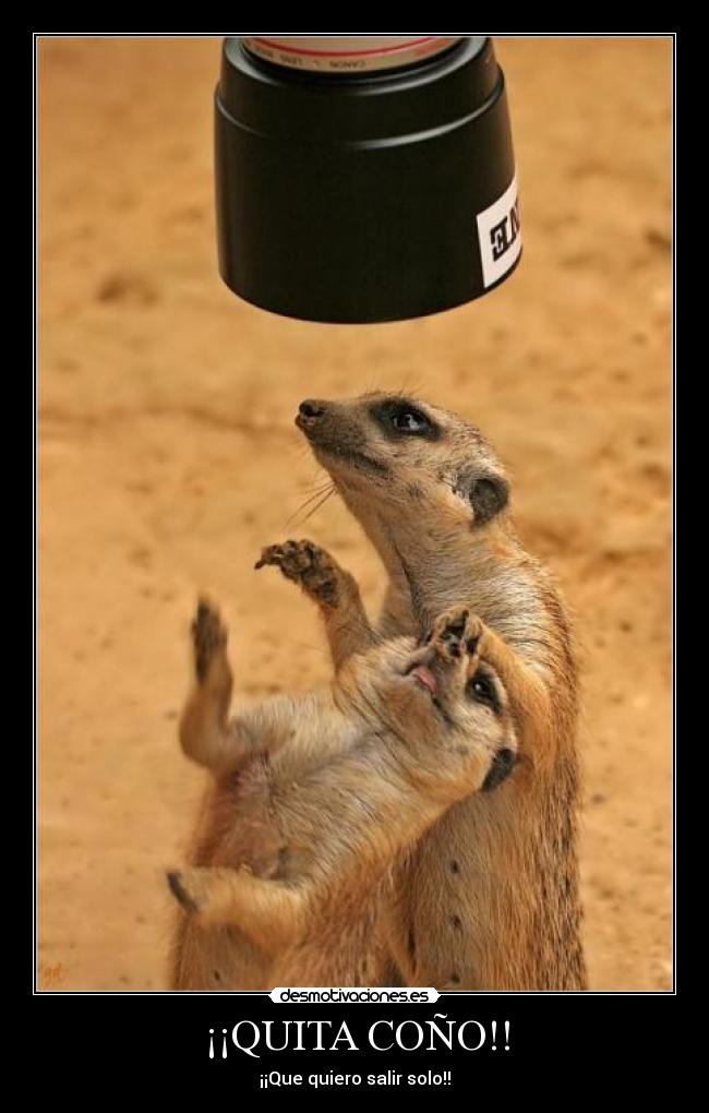 ¡¡QUITA COÑO!! - ¡¡Que quiero salir solo!!