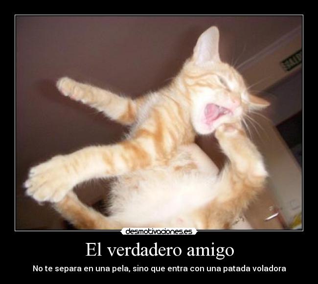 El verdadero amigo - 