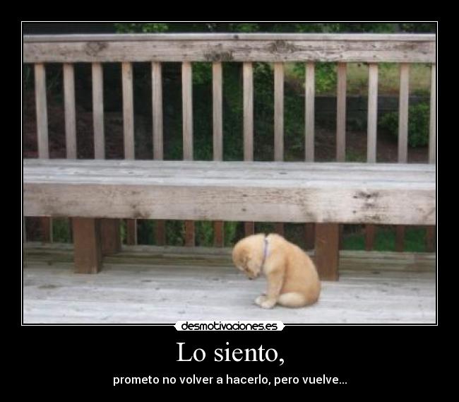 carteles dwd desmotivaciones