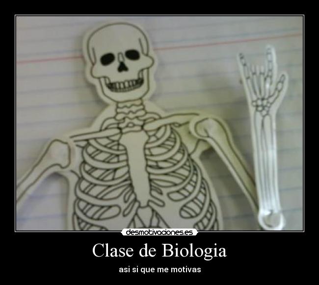Clase de Biologia - asi si que me motivas