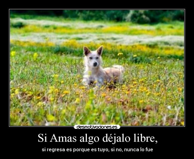 carteles amas algo desmotivaciones