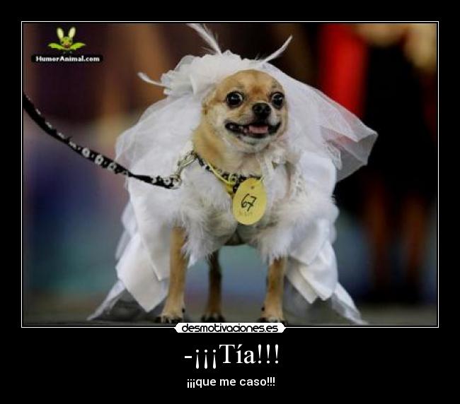 -¡¡¡Tía!!! -
