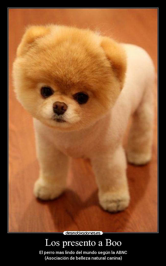 Los presento a Boo -