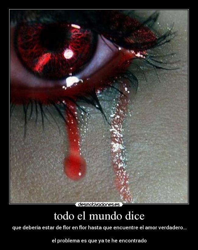 todo el mundo dice -