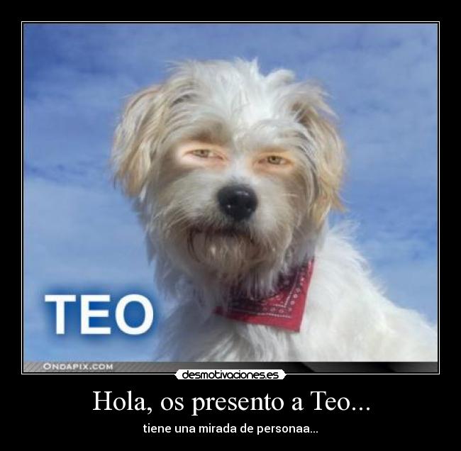 Hola, os presento a Teo... - tiene una mirada de personaa...