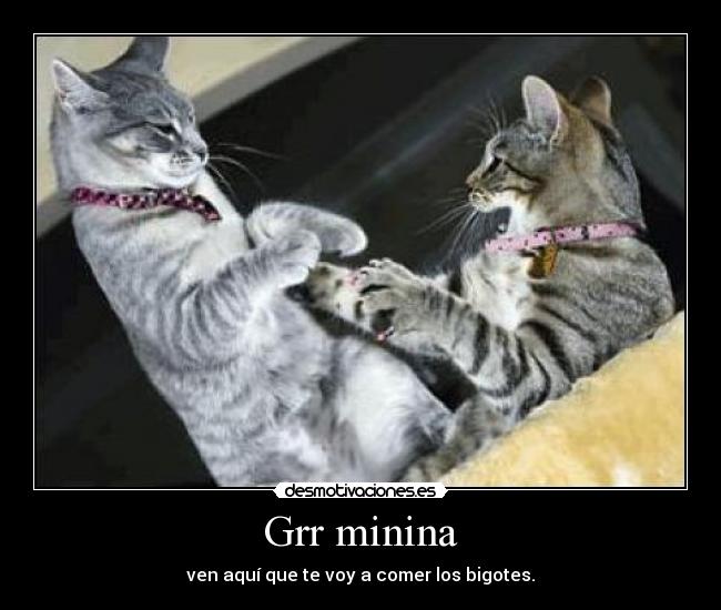 Grr minina - 