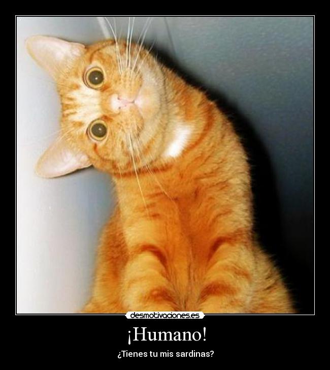 ¡Humano! -