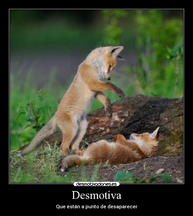 Desmotiva -