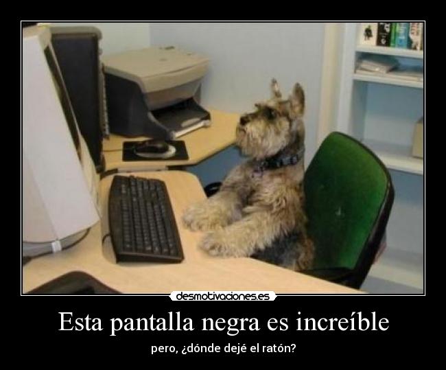 Esta pantalla negra es increíble - pero, ¿dónde dejé el ratón?