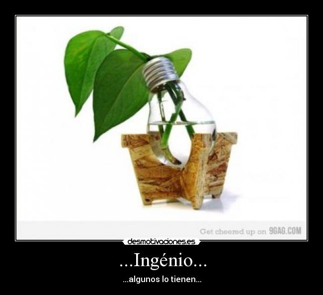 ...Ingénio... -