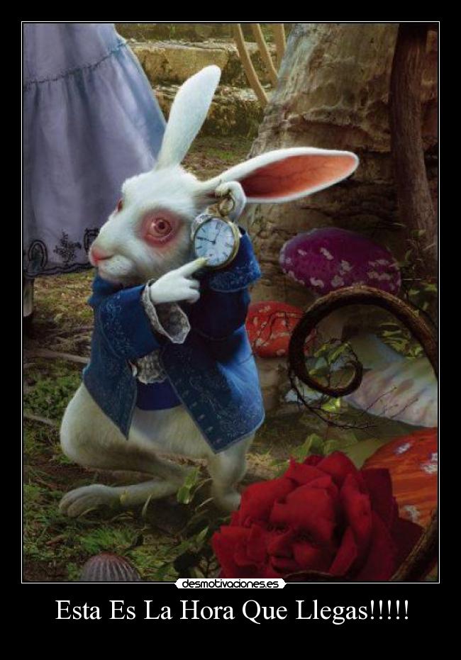 Esta Es La Hora Que Llegas!!!!! -