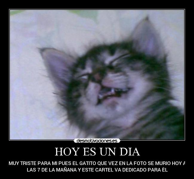 HOY ES UN DIA - 