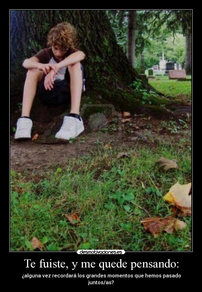 carteles fuiste desmotivaciones