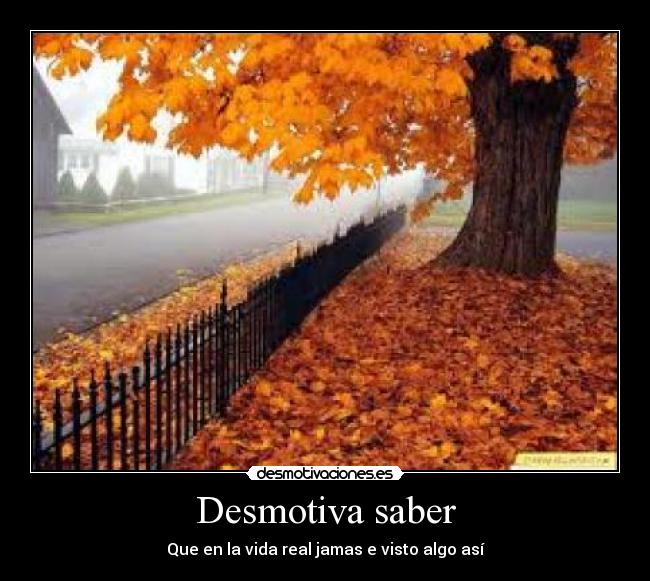Desmotiva saber -