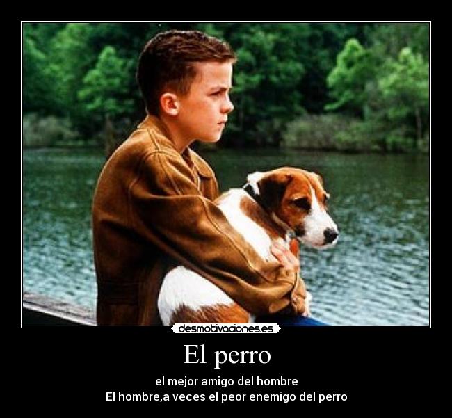 El perro - 