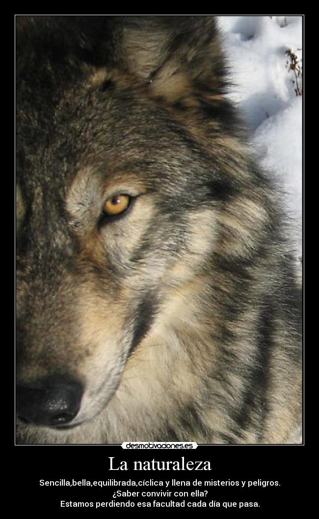 La naturaleza -