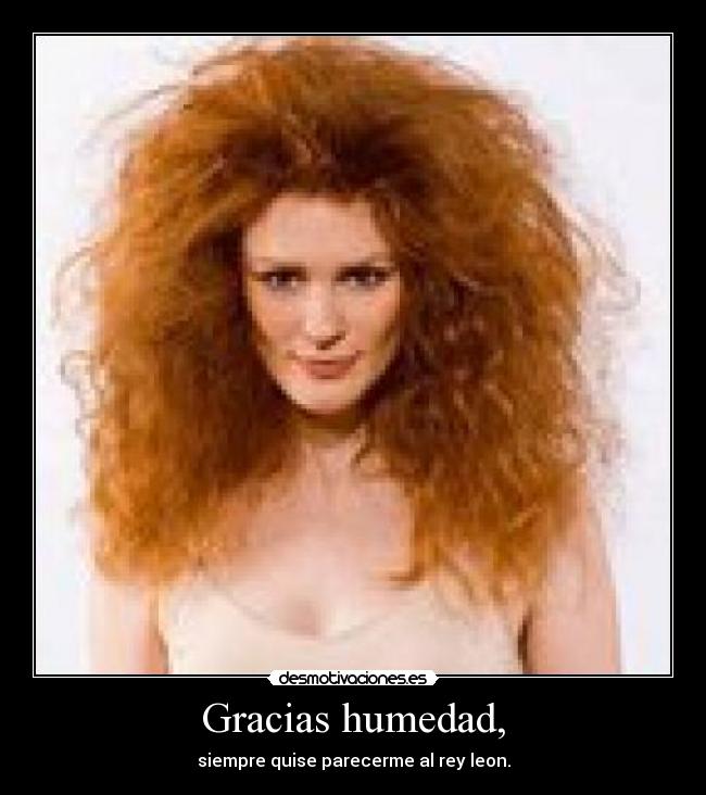 Gracias humedad, - 