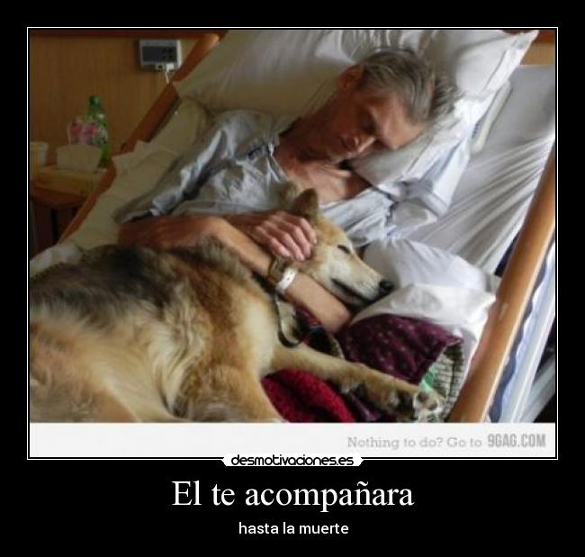 El te acompañara - 