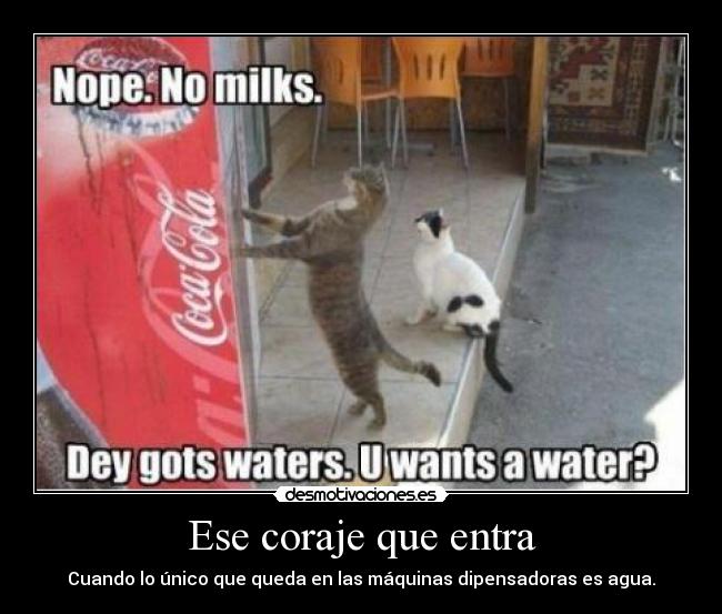 carteles corajecat desmotivaciones