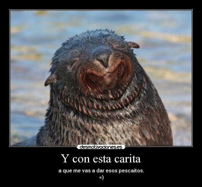 Y con esta carita - a que me vas a dar esos pescaitos.
=)