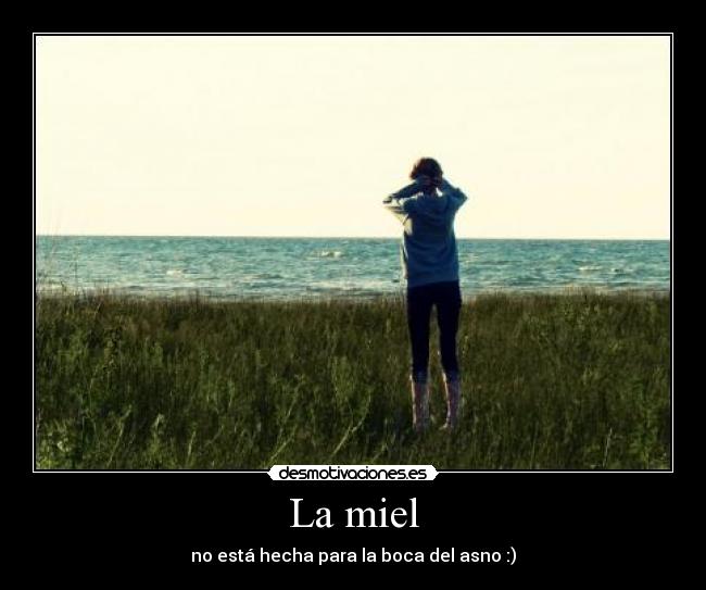 La miel - no está hecha para la boca del asno :)