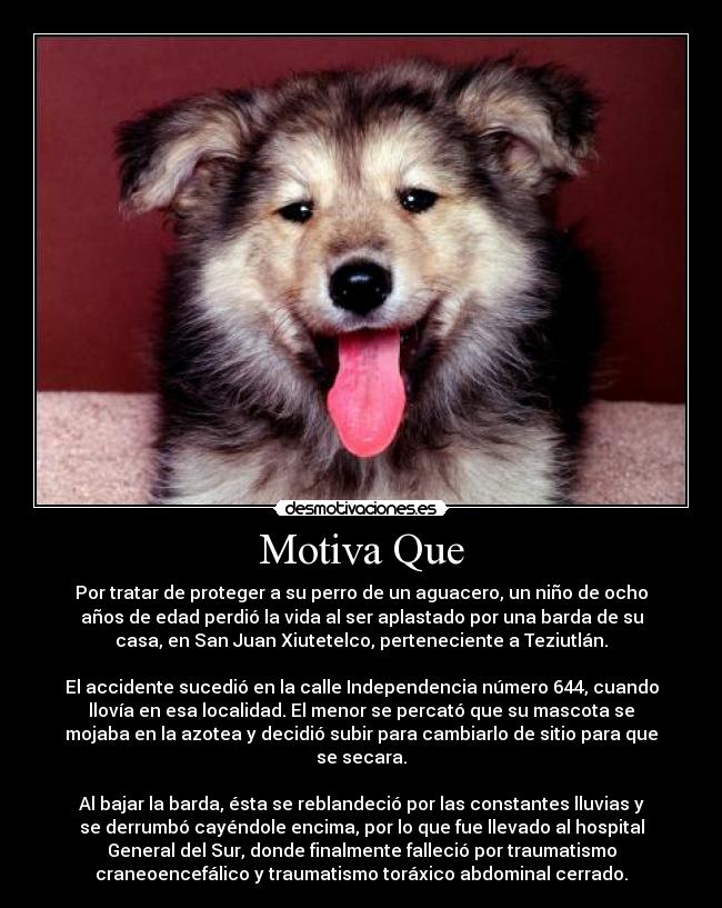 Motiva Que - Por tratar de proteger a su perro de un aguacero, un niño de ocho
años de edad perdió la vida al ser aplastado por una barda de su
casa, en San Juan Xiutetelco, perteneciente a Teziutlán.

El accidente sucedió en la calle Independencia número 644, cuando
llovía en esa localidad. El menor se percató que su mascota se
mojaba en la azotea y decidió subir para cambiarlo de sitio para que
se secara.

Al bajar la barda, ésta se reblandeció por las constantes lluvias y
se derrumbó cayéndole encima, por lo que fue llevado al hospital
General del Sur, donde finalmente falleció por traumatismo
craneoencefálico y traumatismo toráxico abdominal cerrado.