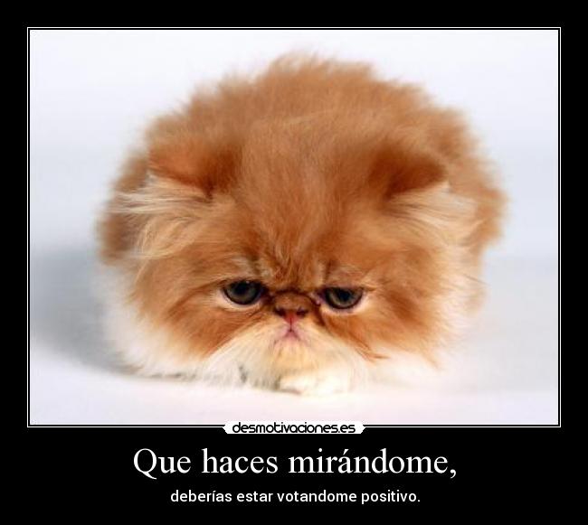 Que haces mirándome, -