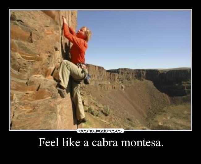 Feel like a cabra montesa. - 