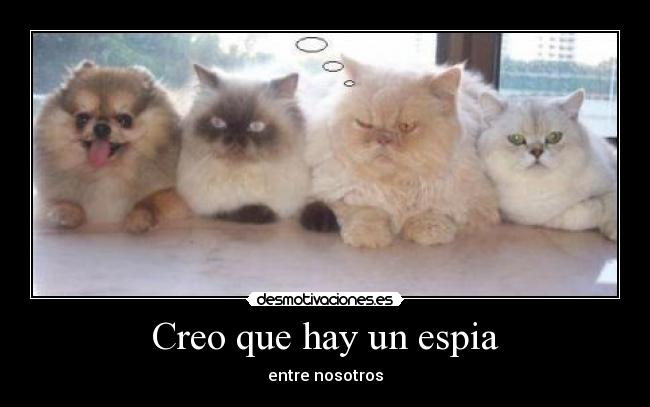 Creo que hay un espia - 