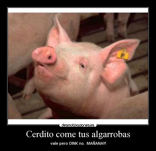 Cerdito come tus algarrobas -