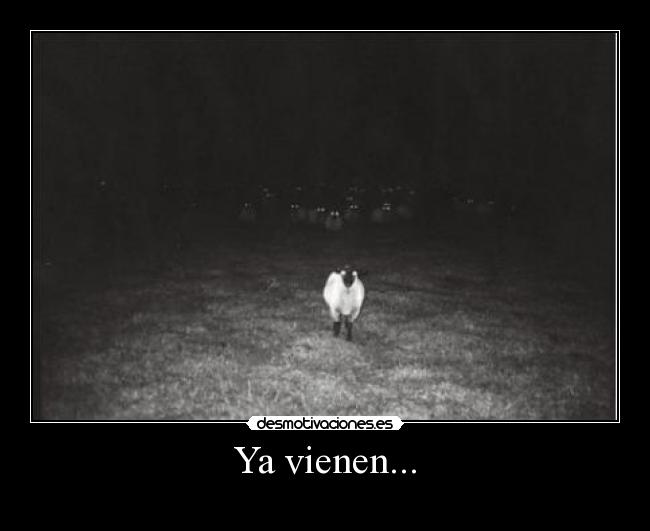 Ya vienen... - 