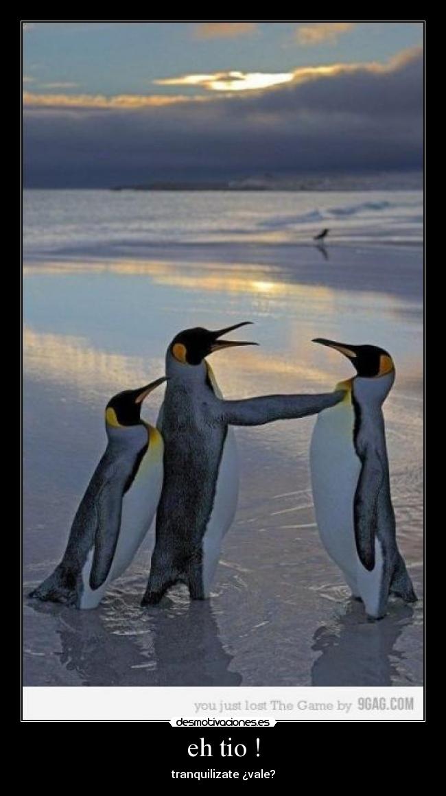 eh tio ! - tranquilizate ¿vale?