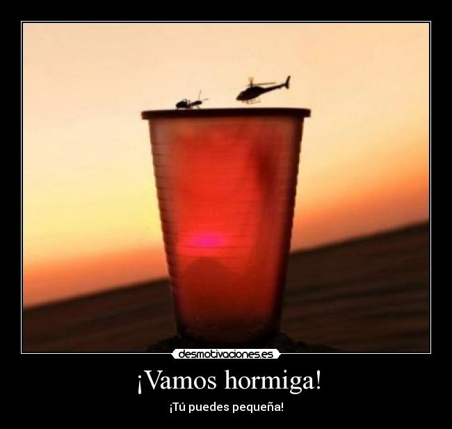 ¡Vamos hormiga! - ¡Tú puedes pequeña!