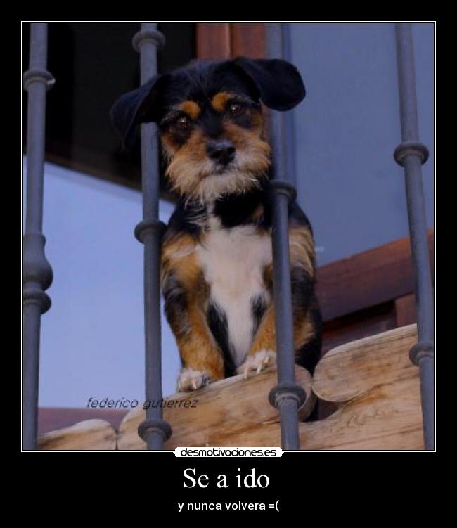 Se a ido - y nunca volvera =(