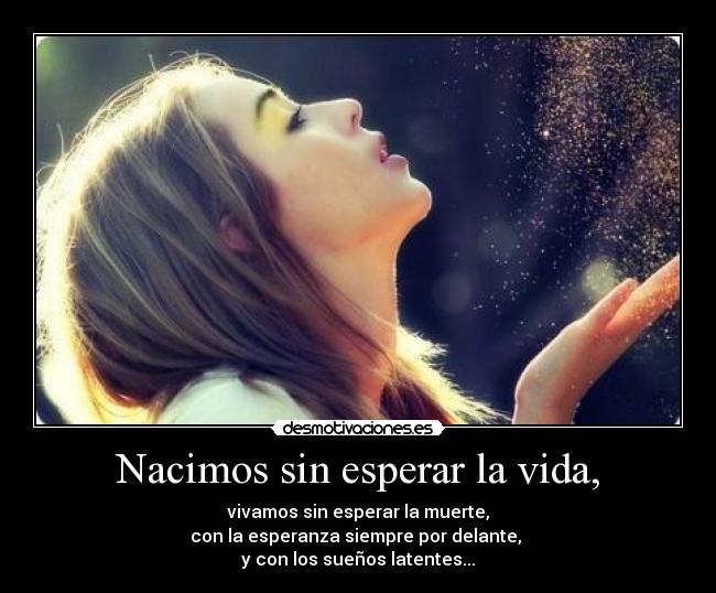 carteles vida vidasuenos desmotivaciones