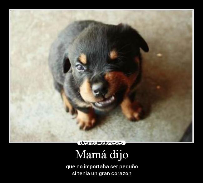 Mamá dijo - que no importaba ser pequño
si tenia un gran corazon