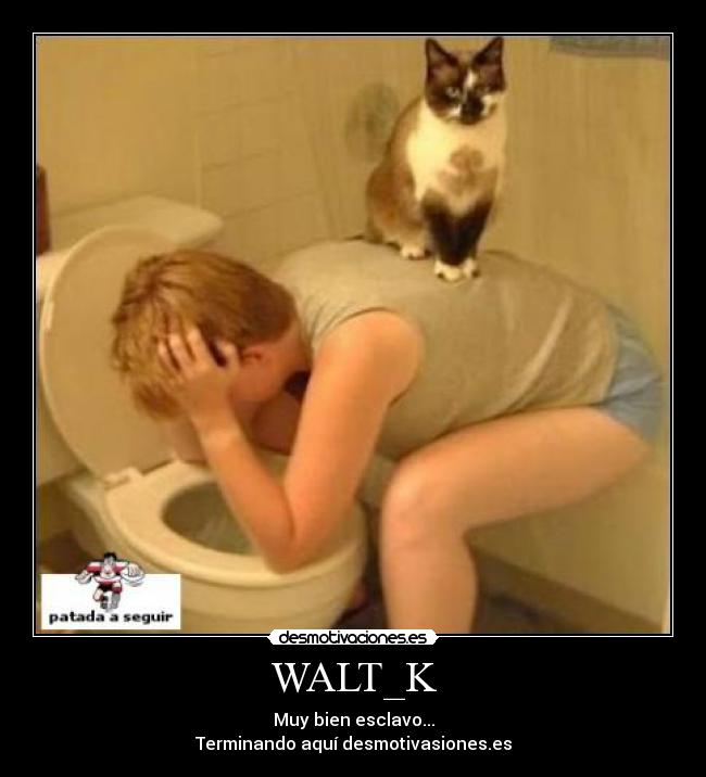 WALT_K - Muy bien esclavo...
Terminando aquí desmotivasiones.es