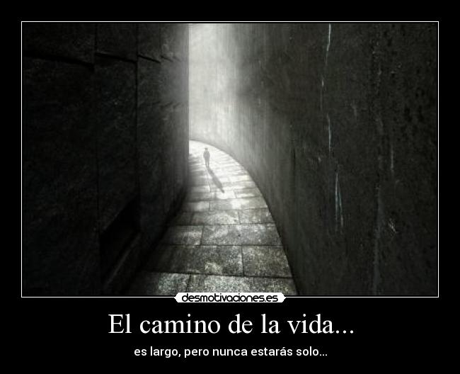 El camino de la vida... - 