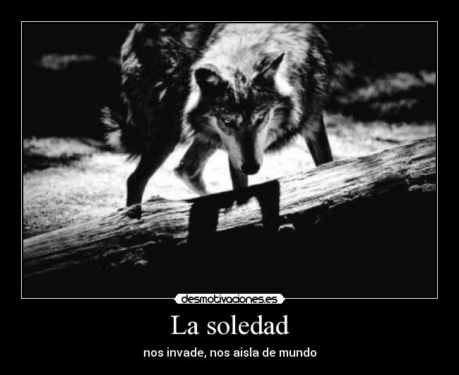 La soledad - nos invade, nos aisla de mundo